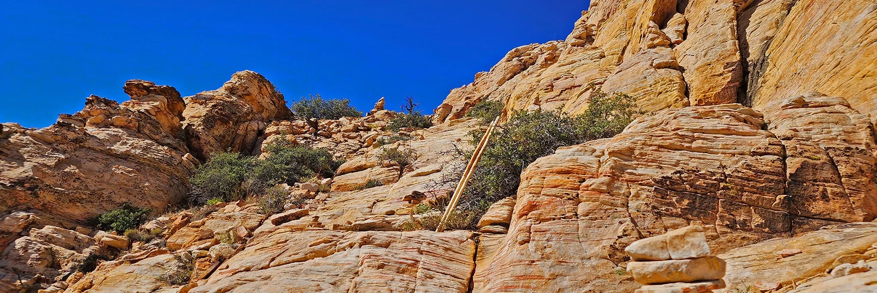 View Back Up to Saddle. Left Trekking Poles Here. Need Hands to Scramble Over Rocks. | Hollow Rock Peak | Rainbow Mountain Wilderness, Nevada