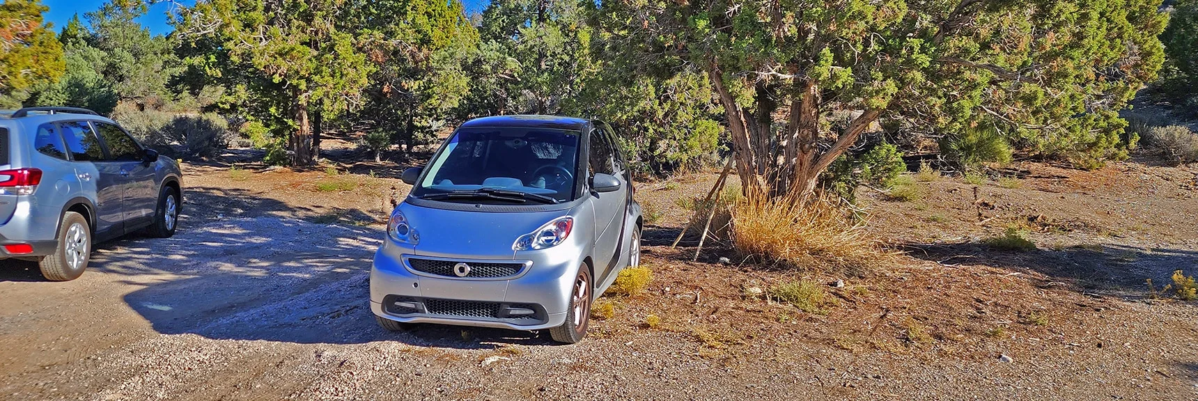 The Beast at Mountain Spring Trailhead. | Hollow Rock Peak | Rainbow Mountain Wilderness, Nevada