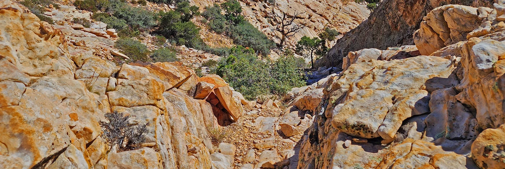 Descent As Route to Hollow Rock Peak Continues | Hollow Rock Peak | Rainbow Mountain Wilderness, Nevada