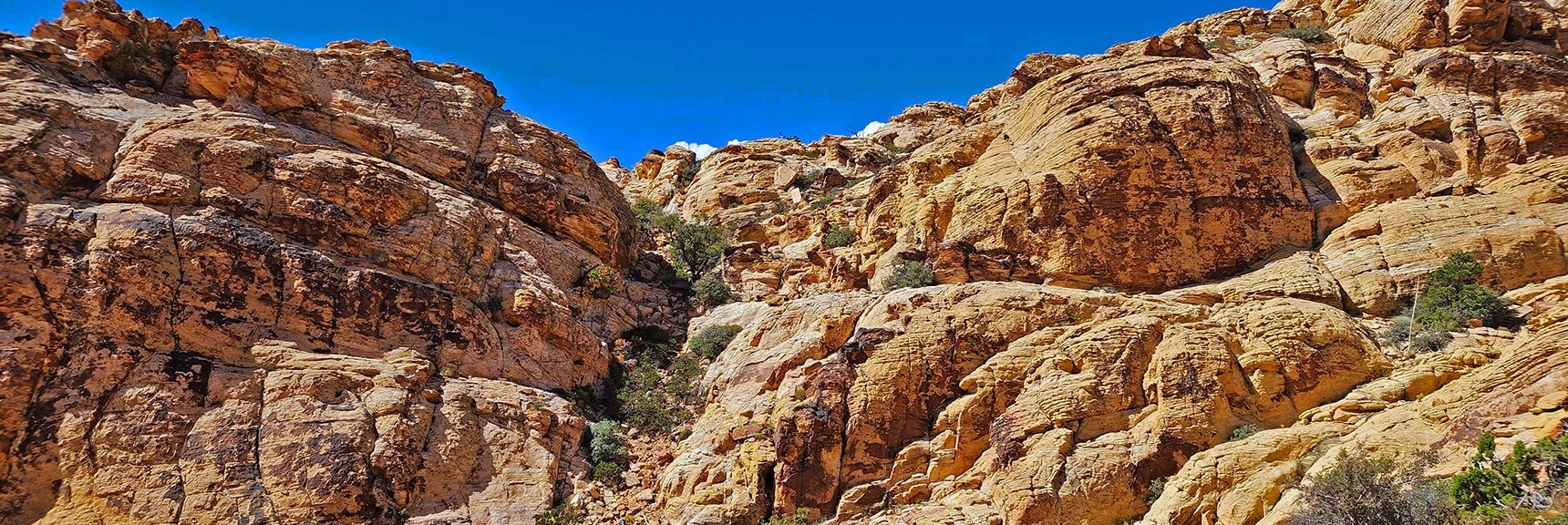 Larger View Back to Gully. | Hollow Rock Peak | Rainbow Mountain Wilderness, Nevada