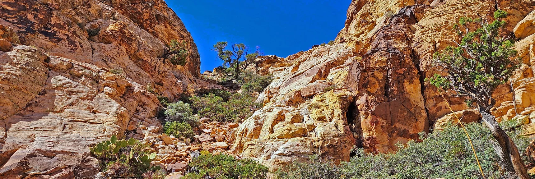 Looking Back Up Gully After 2nd Saddle. | Hollow Rock Peak | Rainbow Mountain Wilderness, Nevada