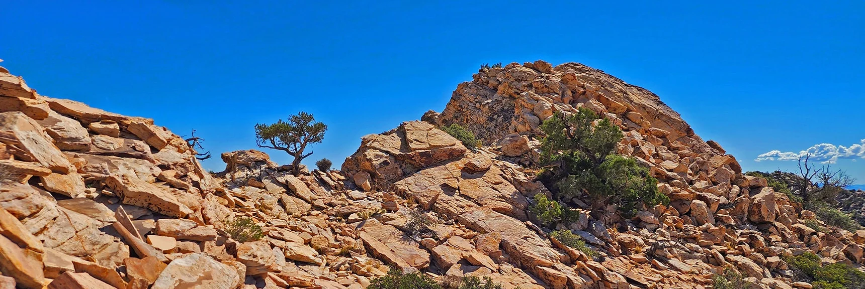 Descend Through This Saddle. | Hollow Rock Peak | Rainbow Mountain Wilderness, Nevada