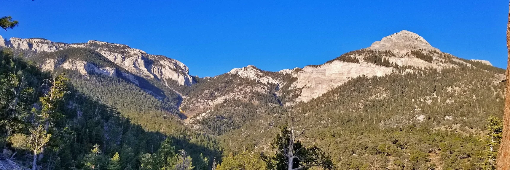 Mummy Mt. Main Section, Saddle and Head | Mummy Mountain's Head, Mt Charleston Wilderness, Spring Mountains, Nevada 001
