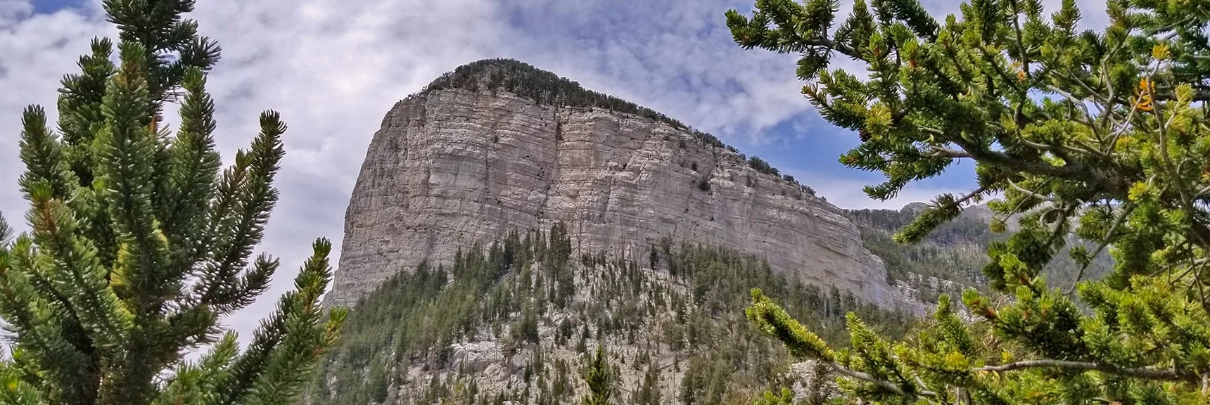 Mummy's Toe from Fletcher Peak Trail | Deer Creek Rd - Mummy Cliffs - Mummy Springs - Raintree - Fletcher Peak - Cougar Ridge Trail Circuit | Mt Charleston Wilderness | Spring Mountains, Nevada