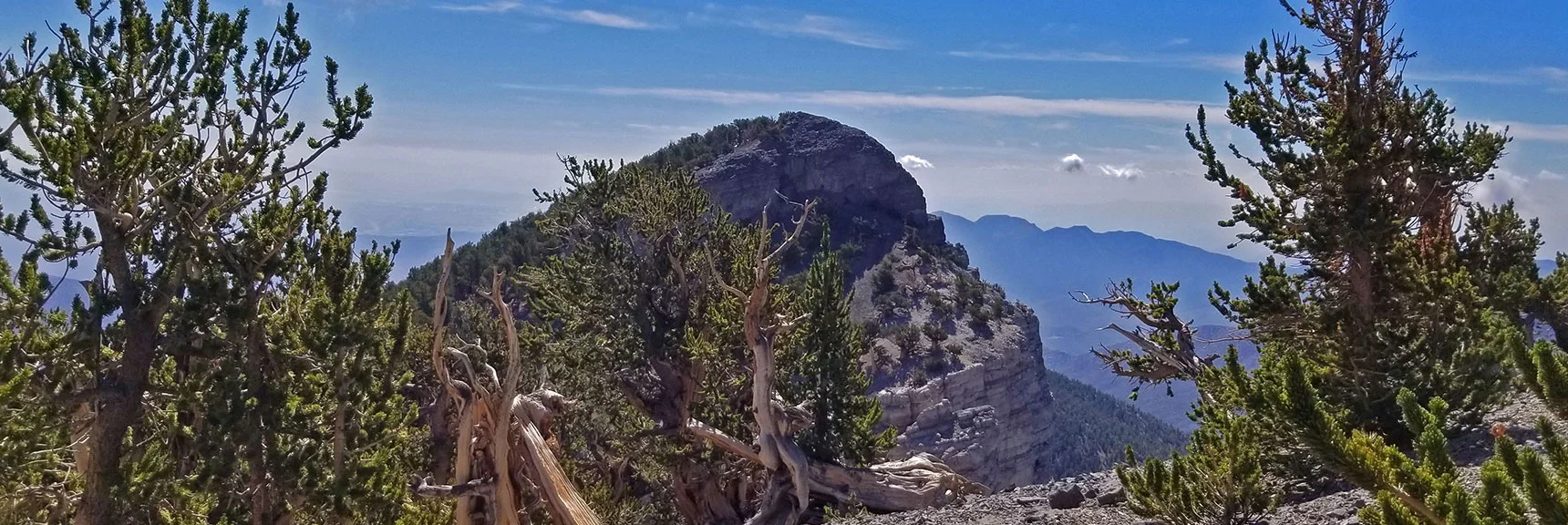 Approaching Mummy's Toe from Mummy's Knees. | Grand Circuit Loop Cougar Ridge Trail, Mummy Mountain Knees | Mummy Mountain Toe | Mummy Springs | Raintree | Fletcher Peak | Mt Charleston Wilderness | Spring Mountains, Nevada