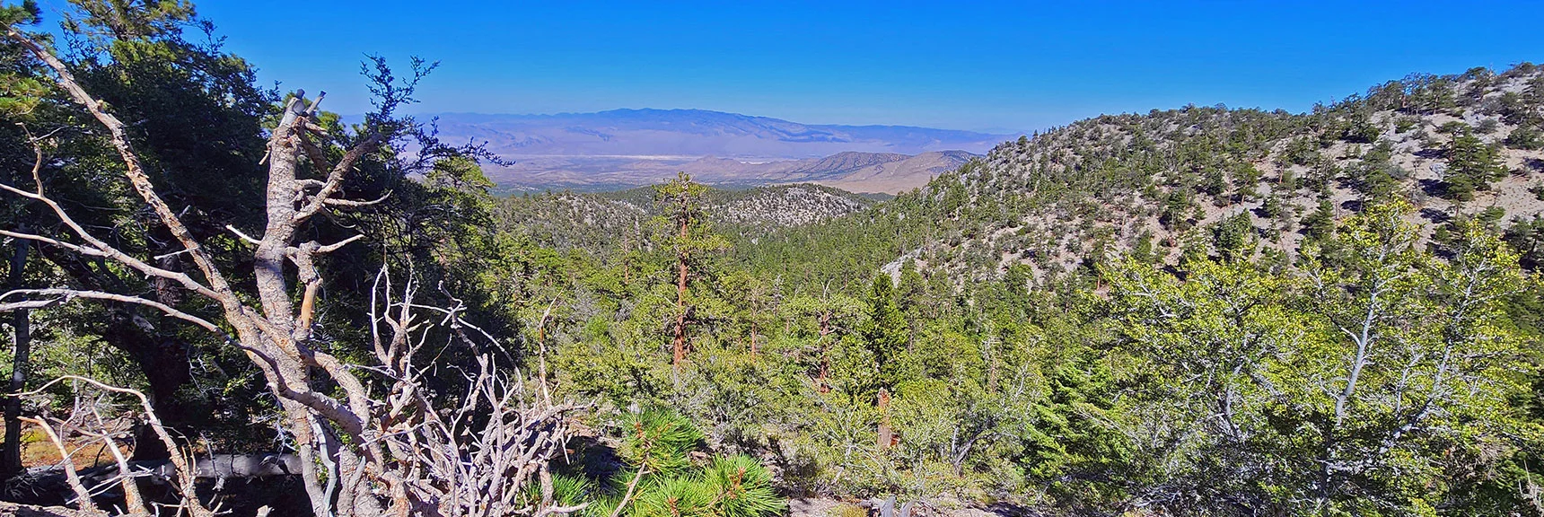 Sheep Range is Guiding Reference Point During the Descent | Mummy’s Nose North Alpine Loop | Mt Charleston Wilderness, Nevada