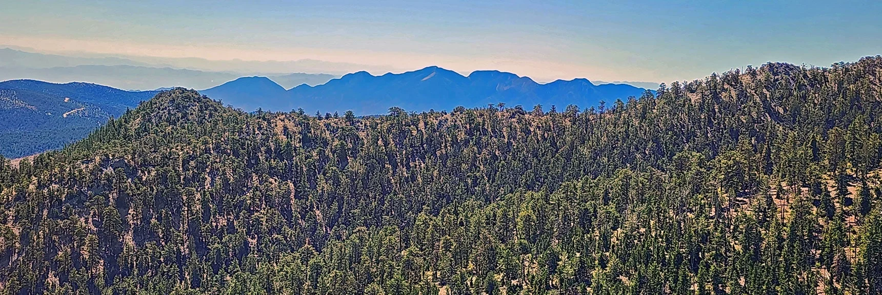 View Across Canyon to Eastern Ridgeline (Descent Route). La Madre Mts. Background. | Mummy’s Nose North Alpine Loop | Mt Charleston Wilderness, Nevada