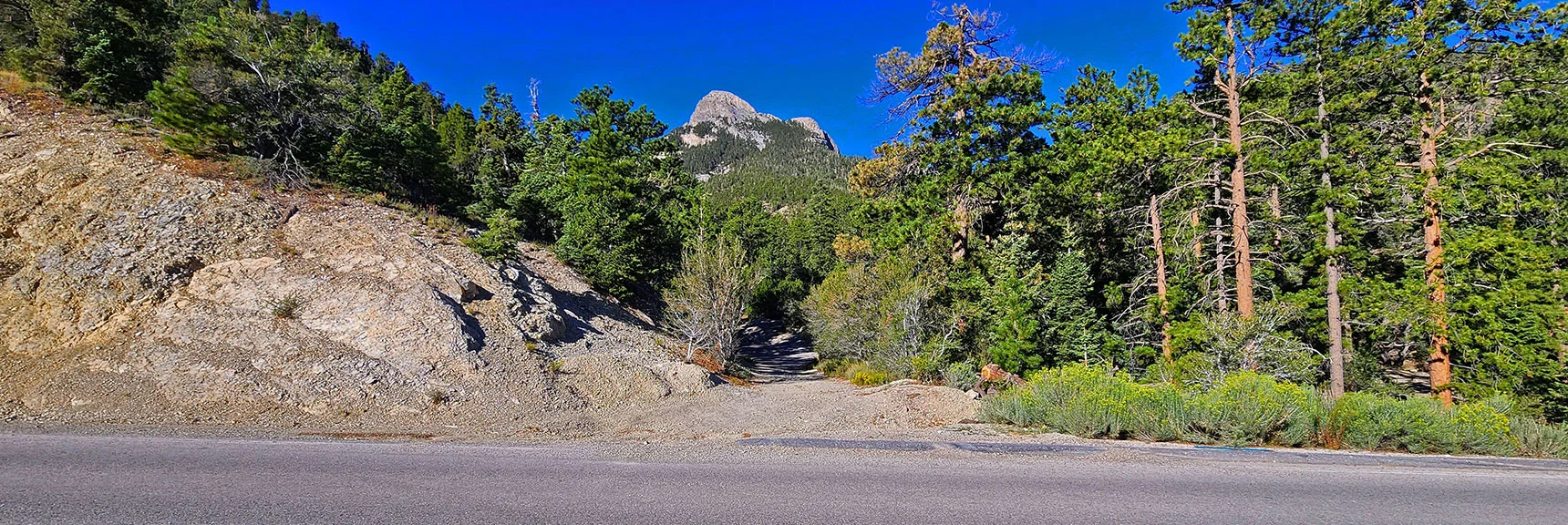 Begin at Catch Pen Loop Trailhead on Deer Creek Rd. Cross Road Toward Nose Cliffs | Mummy’s Nose North Alpine Loop | Mt Charleston Wilderness, Nevada