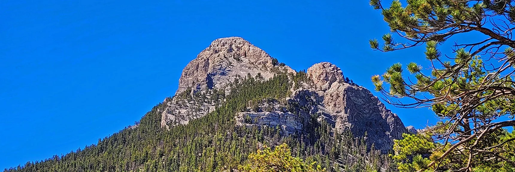 Mummy's Nose from Western Ridgeline. Tree Band Between 2 Heights is Summit Route | Mummy’s Nose North Alpine Loop | Mt Charleston Wilderness, Nevada