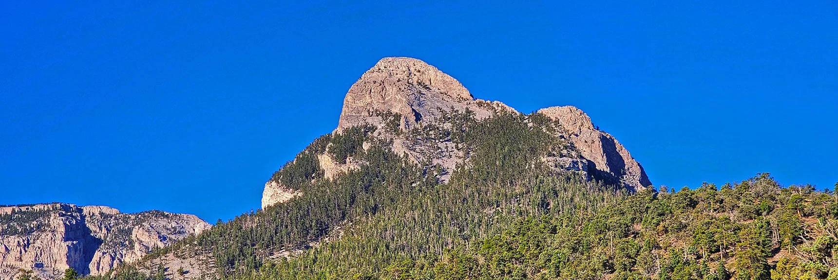Mummy's Nose from Deer Creek & Lee Canyon Rds. Tree Band Access Between Cliffs | Mummy’s Nose North Alpine Loop | Mt Charleston Wilderness, Nevada