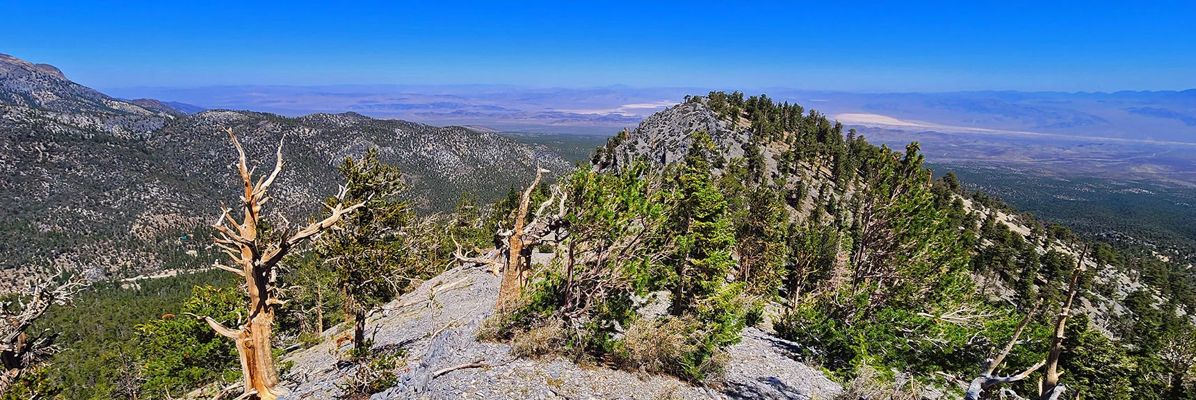 View Down Western Ridgeline. | Mummy’s Nose North Alpine Loop | Mt Charleston Wilderness, Nevada