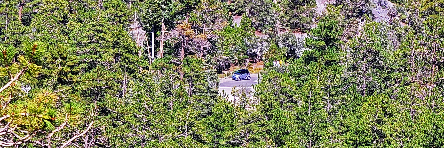 Enlarged View of "The Beast" from 500ft Above Trailhead | Mt Charleston Wilderness, Nevada