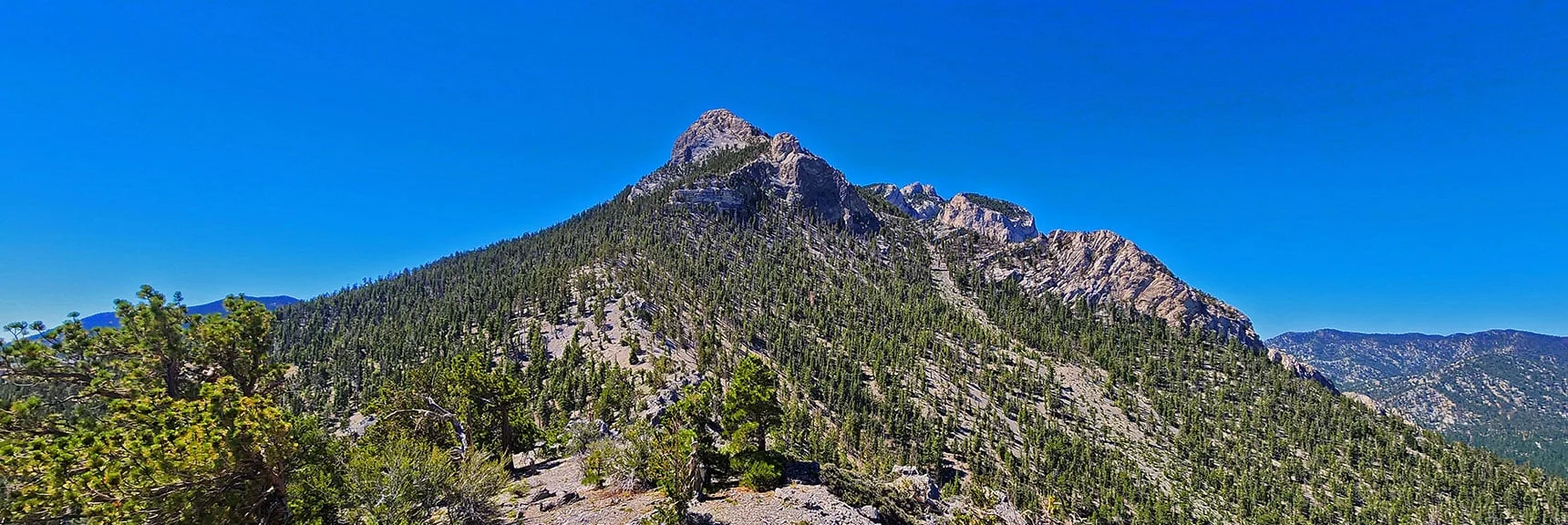 View Up Western Ridgeline to Mummy's Nose & Forehead. | Mummy’s Nose North Alpine Loop | Mt Charleston Wilderness, Nevada