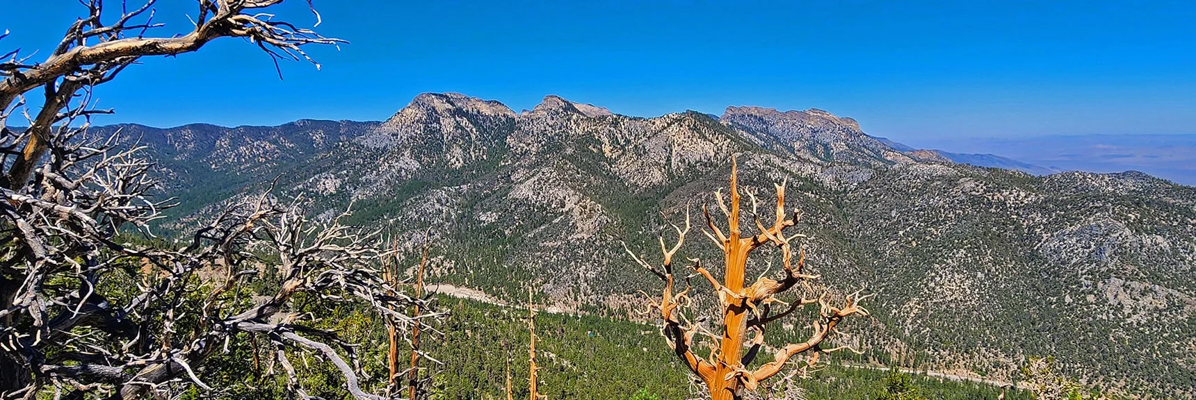View Across Lee Canyon to Sisters, Macks & McFarland Peaks | Mummy’s Nose North Alpine Loop | Mt Charleston Wilderness, Nevada
