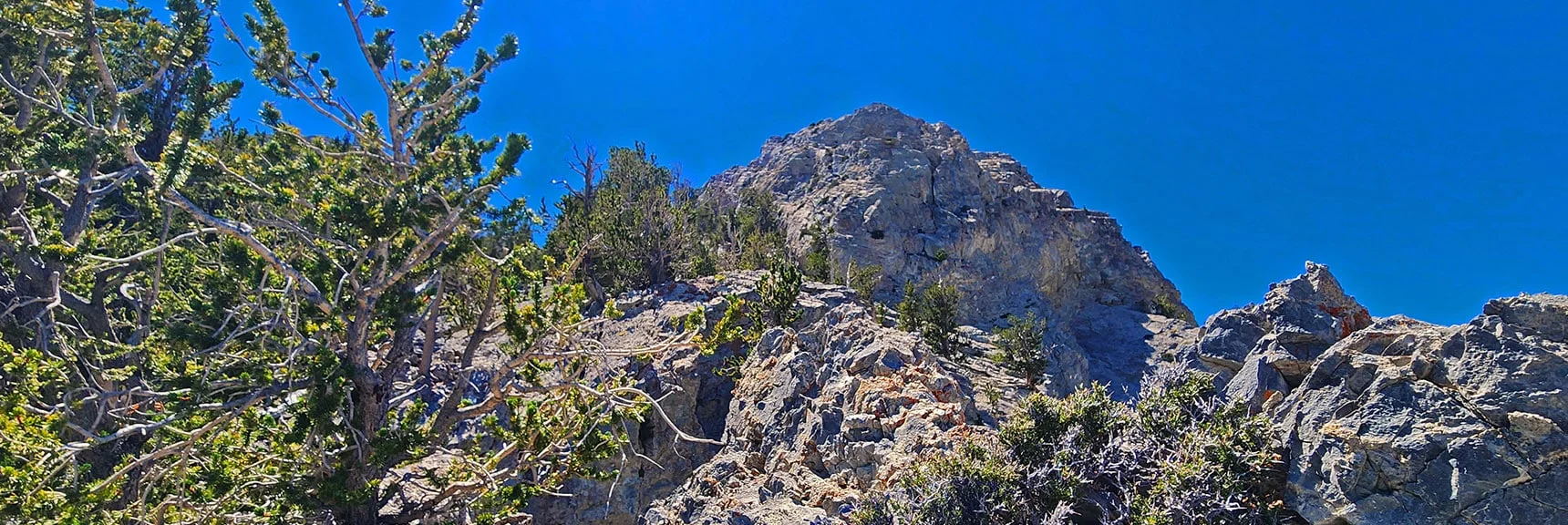 This is the Lower of 2 Heights. Saddle Beyond is Upper Extent of This Alpine Loop | Mummy’s Nose North Alpine Loop | Mt Charleston Wilderness, Nevada