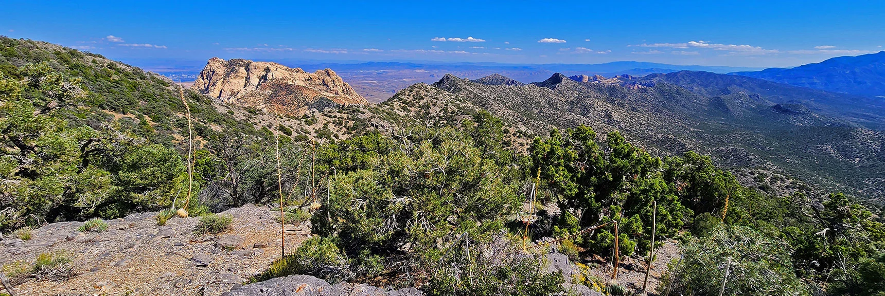 Southern Stretch of Upper Crest Ridgeline from Juniper Peak Area South | Mt Wilson to Juniper Peak | Rainbow Mountains Upper Crest Ridgeline | Rainbow Mountain Wilderness, Nevada