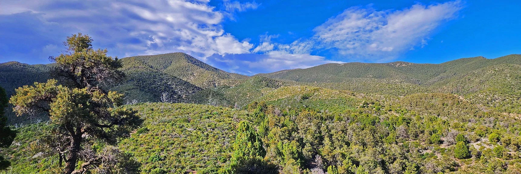 South High Point to the Left, Approach Ridge Below, Circling Downward to the Right | Wilson Ridge South High Point | Lovell Canyon, Nevada