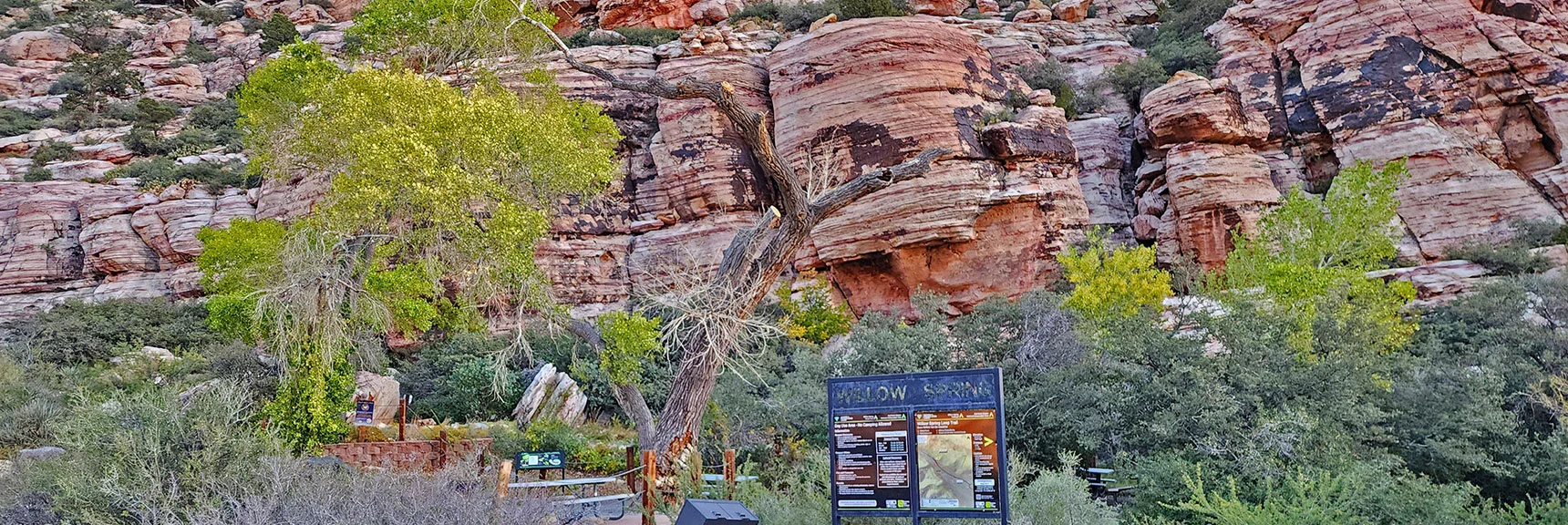 Adventure Begins at Willow Spring Picnic Area in Red Rock Canyon NCA | Keystone Thrust West Summit Above White Rock Mountain | La Madre Mountains Wilderness, Nevada