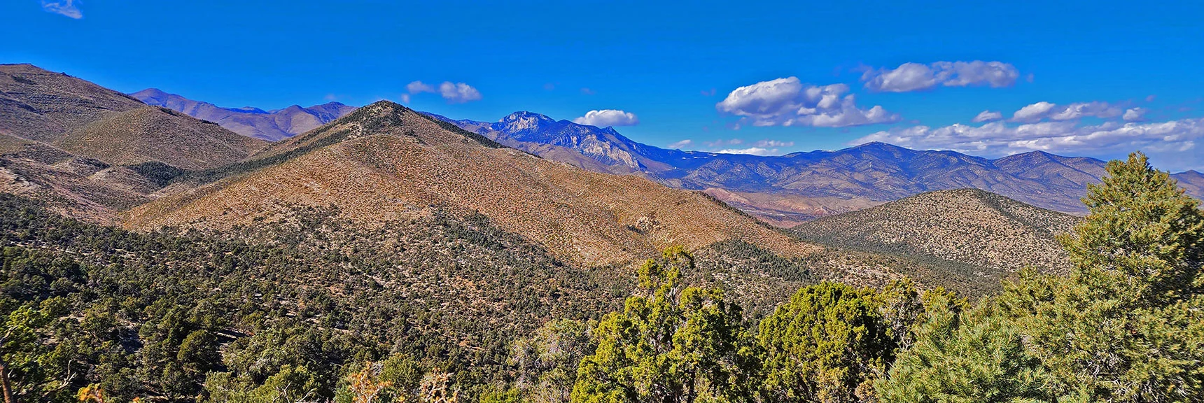 View West Toward Mt. Charleston Wilderness | Keystone Thrust West Summit Above White Rock Mountain | La Madre Mountains Wilderness, Nevada