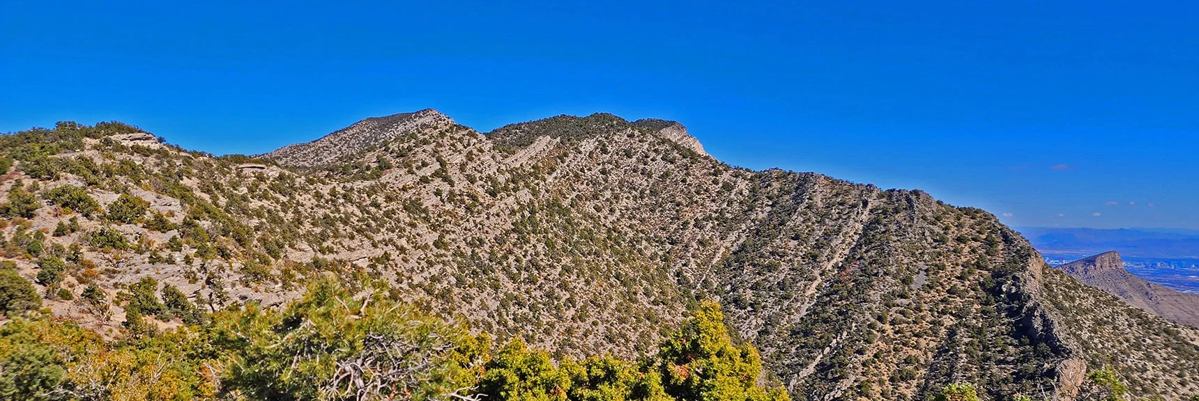 Keystone Thrust Summit View East Toward El Bastardo Mt | Keystone Thrust West Summit Above White Rock Mountain | La Madre Mountains Wilderness, Nevada