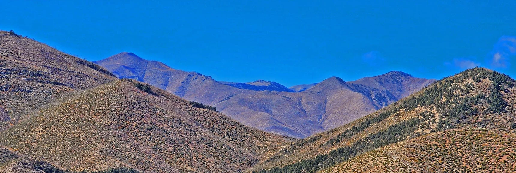 Griffith Peak, Harris Mt. and Saddle Between | Keystone Thrust West Summit Above White Rock Mountain | La Madre Mountains Wilderness, Nevada