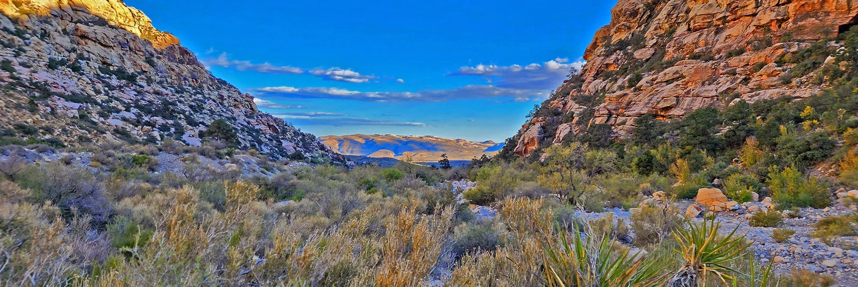 View Toward Willow Spring with Blue Diamond Mountain Background | Keystone Thrust West Summit Above White Rock Mountain | La Madre Mountains Wilderness, Nevada