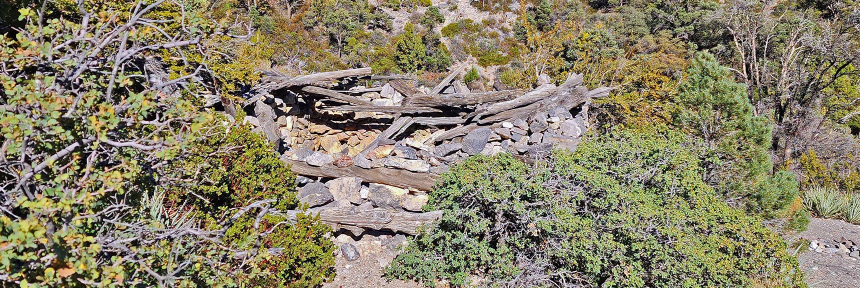Approaching Miner's Cabin Above La Madre Spring | Keystone Thrust West Summit Above White Rock Mountain | La Madre Mountains Wilderness, Nevada