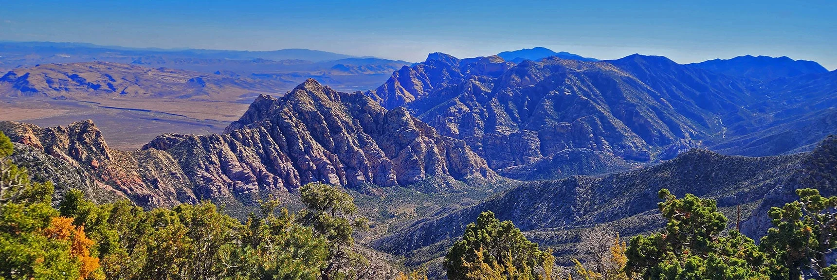 View to La Madre Mt Spring Area | Keystone Thrust West Summit Above White Rock Mountain | La Madre Mountains Wilderness, Nevada
