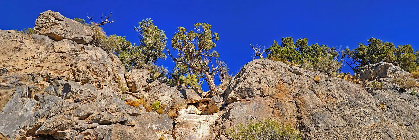 20-30ft Class 3 Climb Half Way Up Keystone Thrust | Keystone Thrust West Summit Above White Rock Mountain | La Madre Mountains Wilderness, Nevada