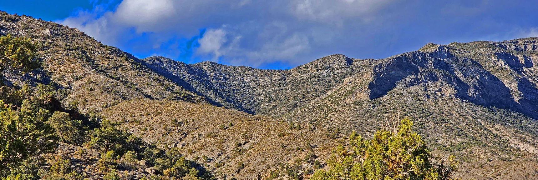 View Back to Keystone Thrust Summit Point in Evening Sun | Keystone Thrust West Summit Above White Rock Mountain | La Madre Mountains Wilderness, Nevada