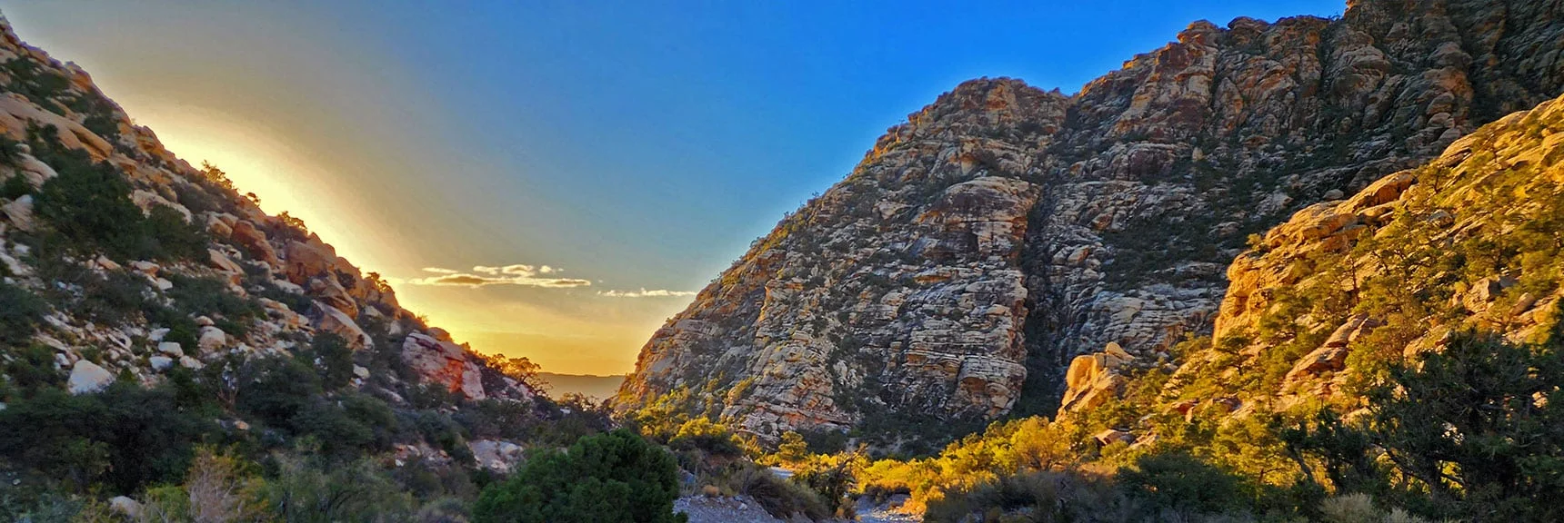 View Back Toward Willow Spring in Rising Sun | Keystone Thrust West Summit Above White Rock Mountain | La Madre Mountains Wilderness, Nevada