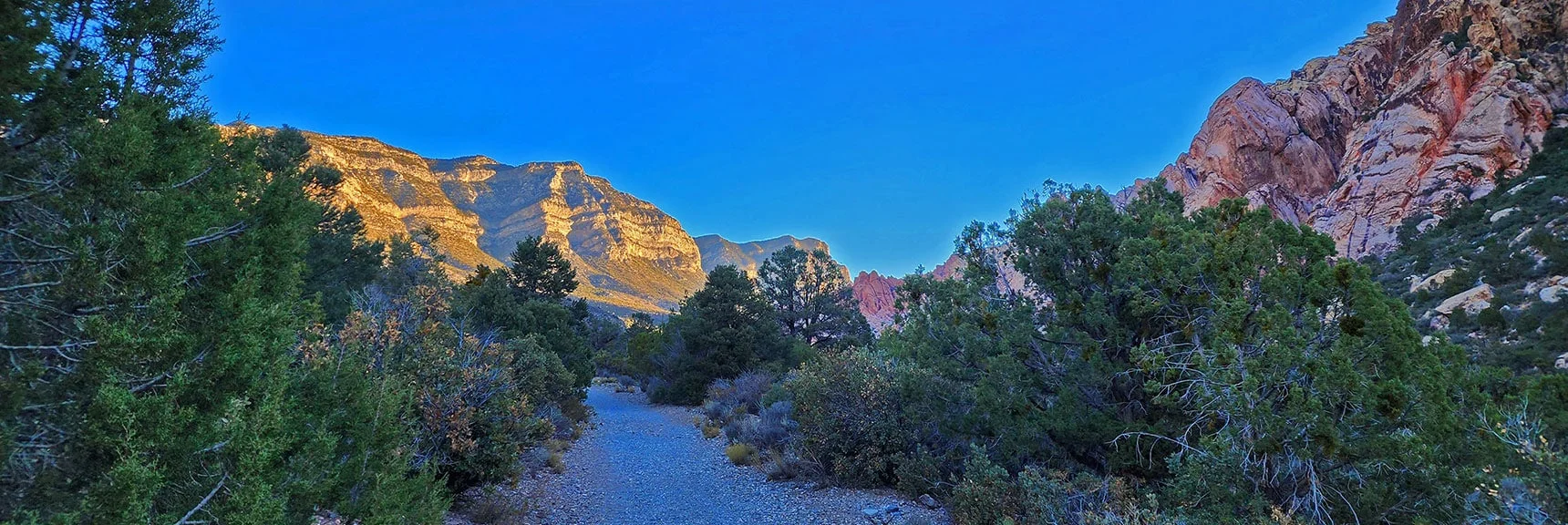 White Rock Mt Loop Before La Madre Spring Trail Split | Keystone Thrust West Summit Above White Rock Mountain | La Madre Mountains Wilderness, Nevada