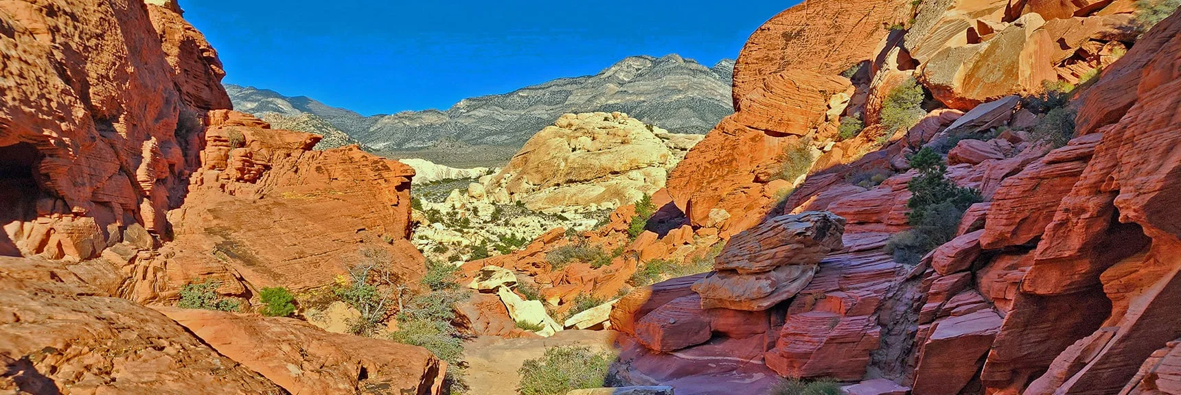 Looking Back Toward the Keystone Thrust Cliffs in the Distance. | Calico Tanks | Red Rock Canyon National Conservation Area, Nevada