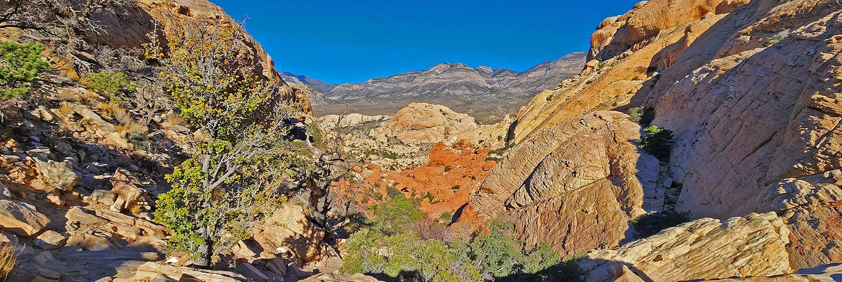 The Distant Keystone Thrust Cliffs Are in the La Madre Mountains Wilderness. | Calico Tanks | Red Rock Canyon National Conservation Area, Nevada