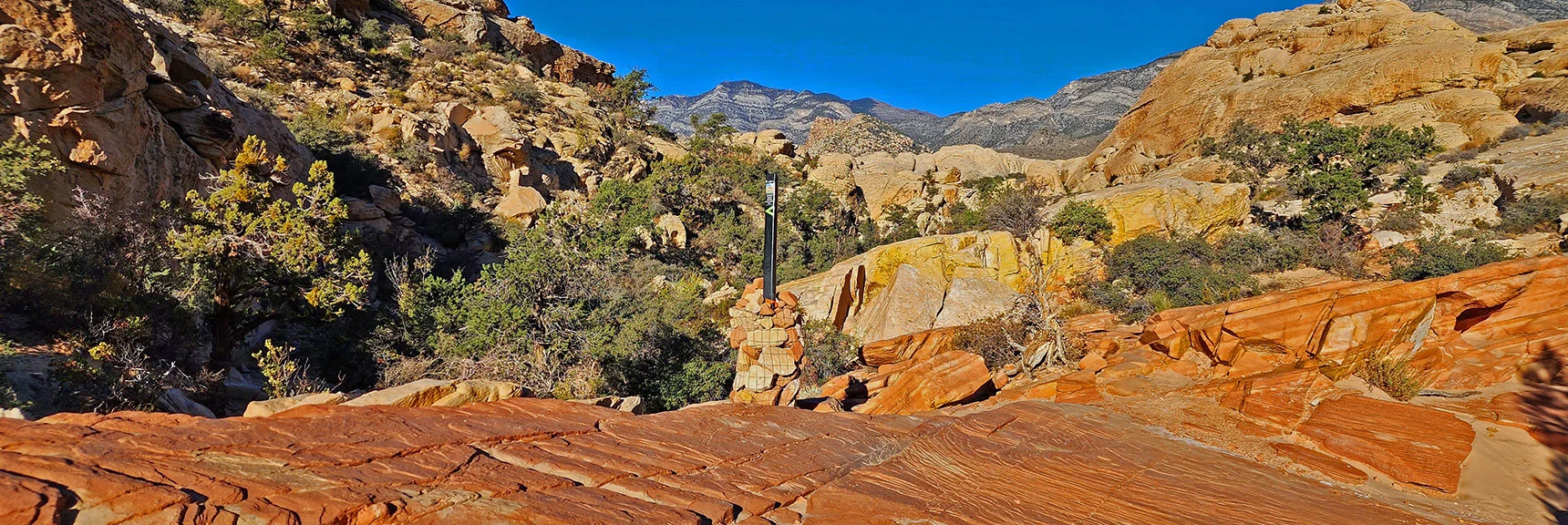 The Red Rock is from Iron Leaching Up Through the Ancient Now Frozen Jurassic Sand Dunes. | Calico Tanks | Red Rock Canyon National Conservation Area, Nevada