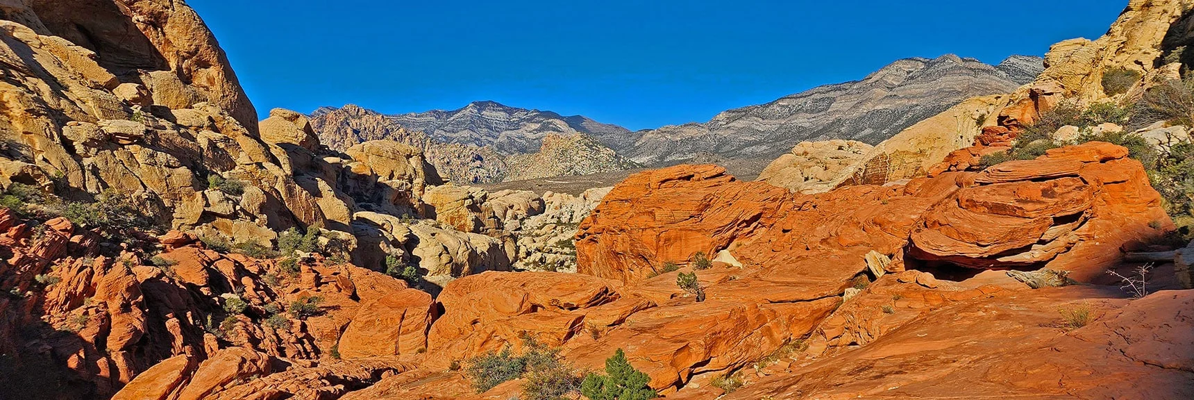 Amazing Artistic Colors and Shapes. Exactly Repeated Nowhere Else on Earth. | Calico Tanks | Red Rock Canyon National Conservation Area, Nevada