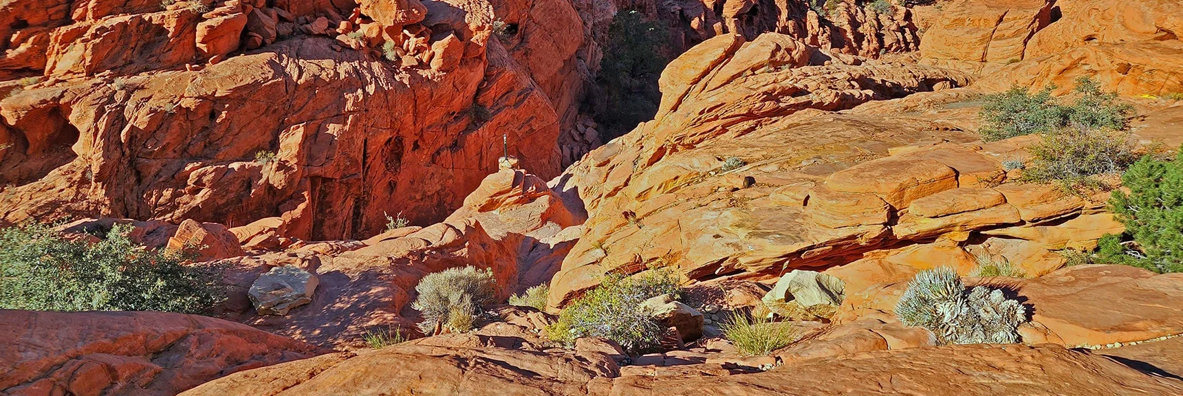 Well-Marked Trail with a Few Steep But Manageable Inclines. Always a Good Hold, Minimal Exposure. | Calico Tanks | Red Rock Canyon National Conservation Area, Nevada