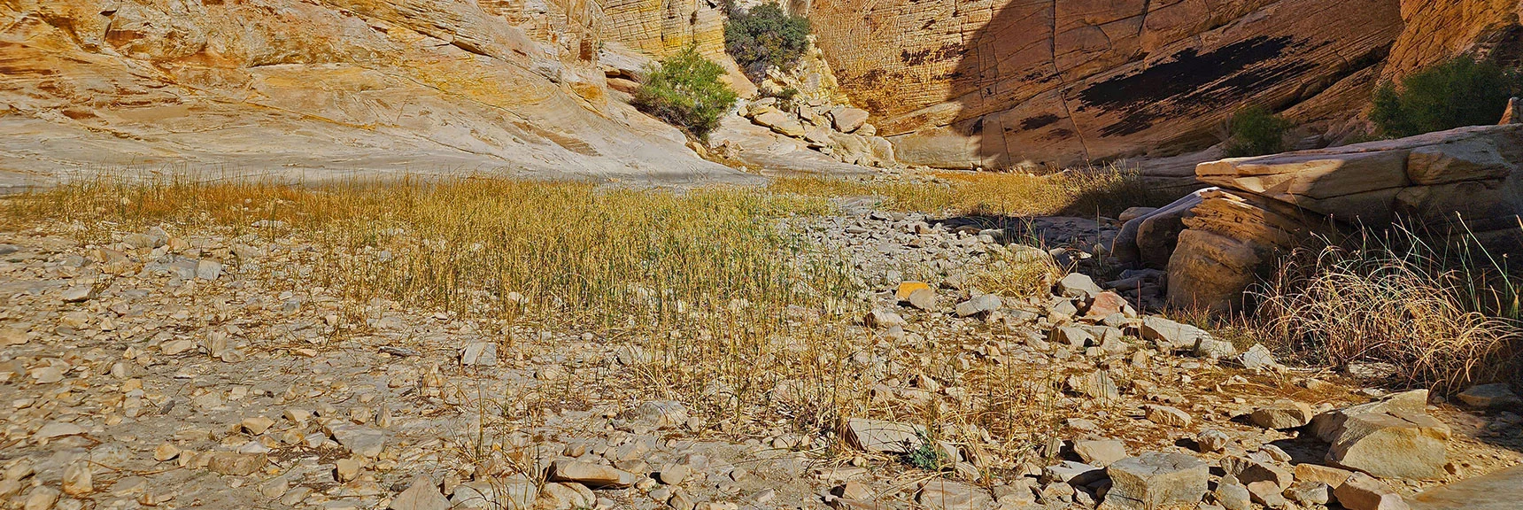 You'll Have Better Luck Finding the Tank Full of Water in the Spring Before Summer's Heat. | Calico Tanks | Red Rock Canyon National Conservation Area, Nevada