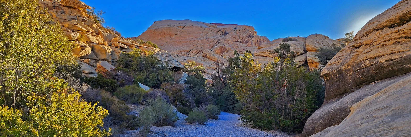 As the Sun is Rising Ahead, Most Pictures Will Be Taken Looking Backwards! | Calico Tanks | Red Rock Canyon National Conservation Area, Nevada
