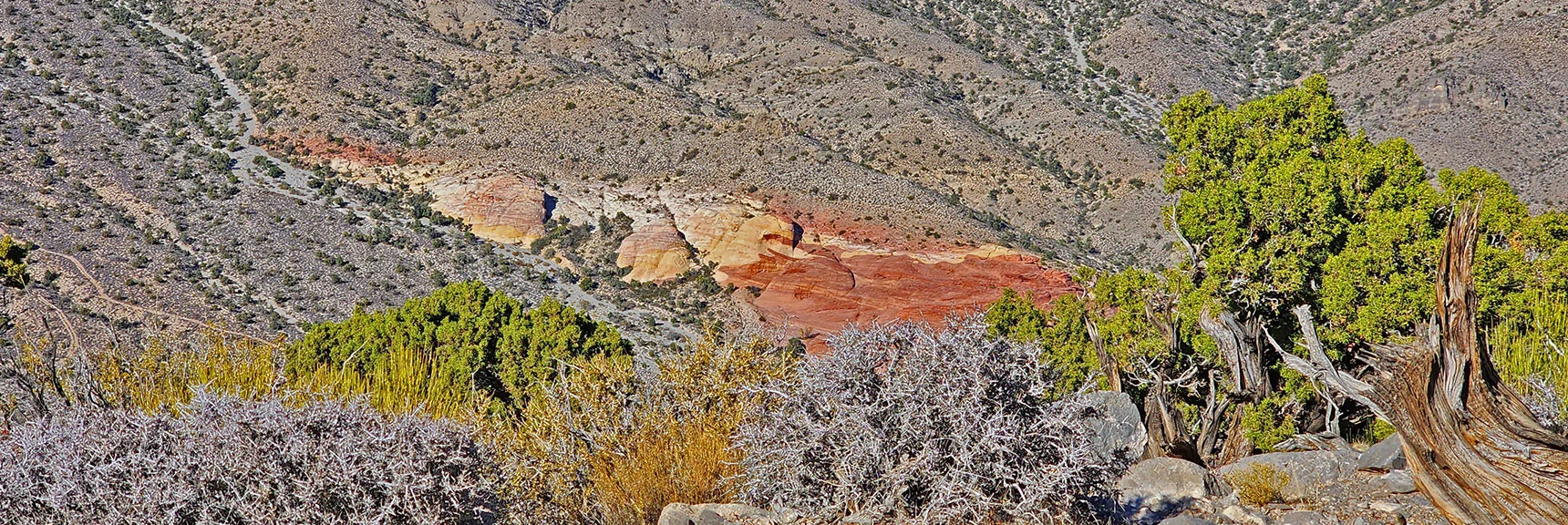 Upper Calico Hills in Brownstone Basin at Base of Damsel Peak | Turtlehead Peak | Red Rock Canyon National Conservation Area, Nevada