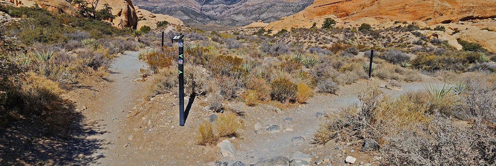 Trail Split Soon After Quarry: Calico Tanks Left, Turtlehead Peak Right. | Turtlehead Peak | Red Rock Canyon National Conservation Area, Nevada