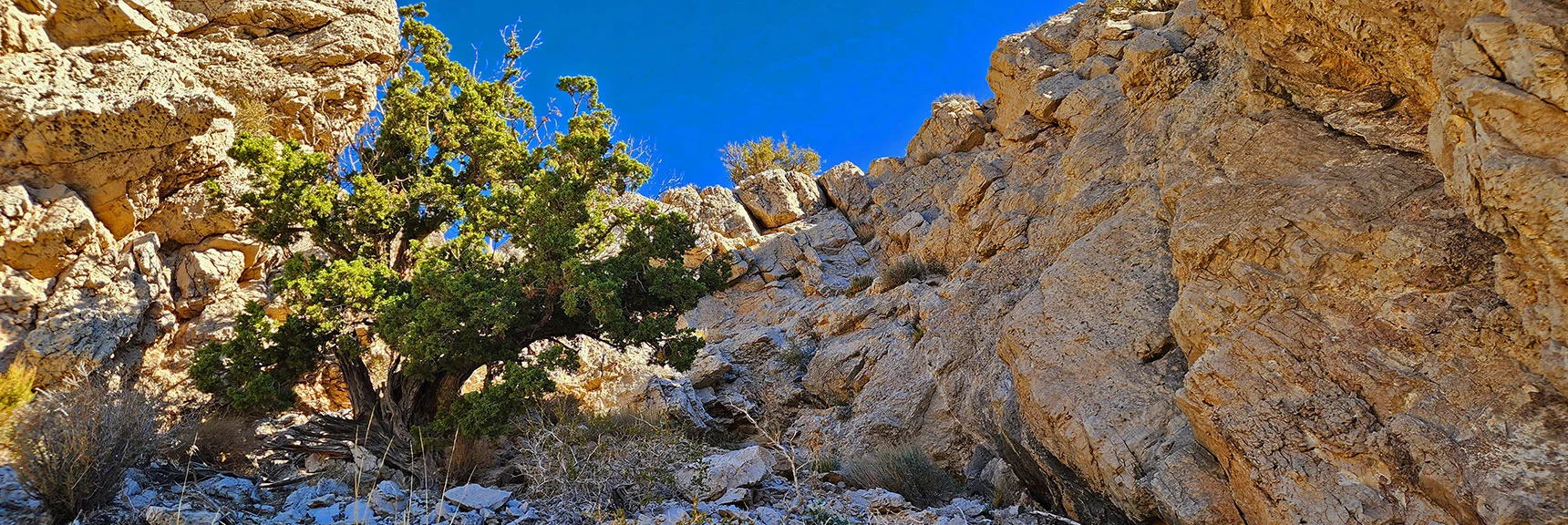 In the Ridge Access Opening. | Turtlehead Peak | Red Rock Canyon National Conservation Area, Nevada
