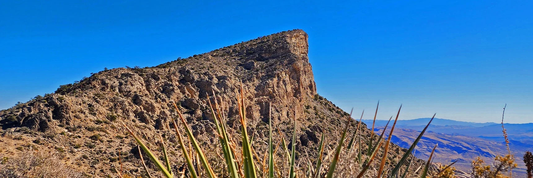 Turtlehead Peak from Ridgeline Summit | Turtlehead Peak | Red Rock Canyon National Conservation Area, Nevada