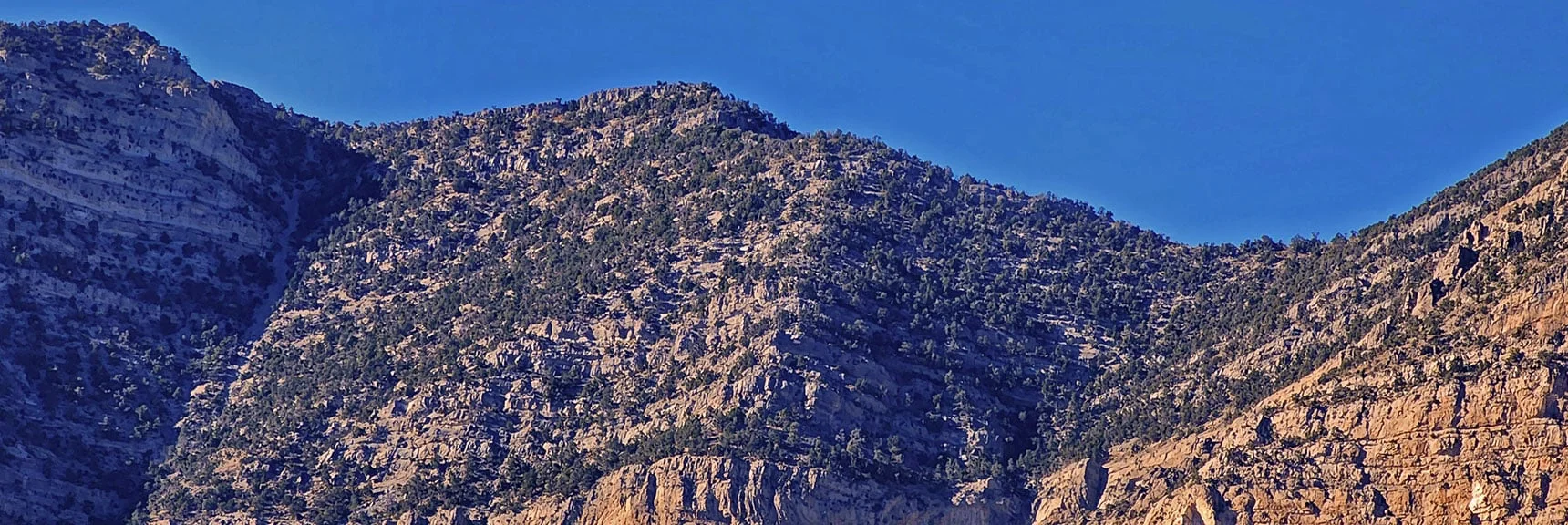 Final Saddle Approach Above Cliff Bands | Turtlehead Peak | Red Rock Canyon National Conservation Area, Nevada