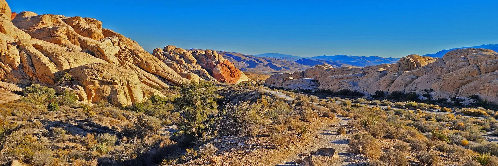 Last Stretch Toward Sandstone Quarry Parking Area and Trailhead | Turtlehead Peak | Red Rock Canyon National Conservation Area, Nevada