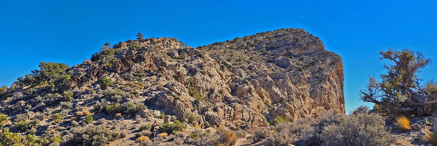 Crossed Saddle. Deviate Over Hill, Then Along Cliff Edge to Summit. | Turtlehead Peak | Red Rock Canyon National Conservation Area, Nevada