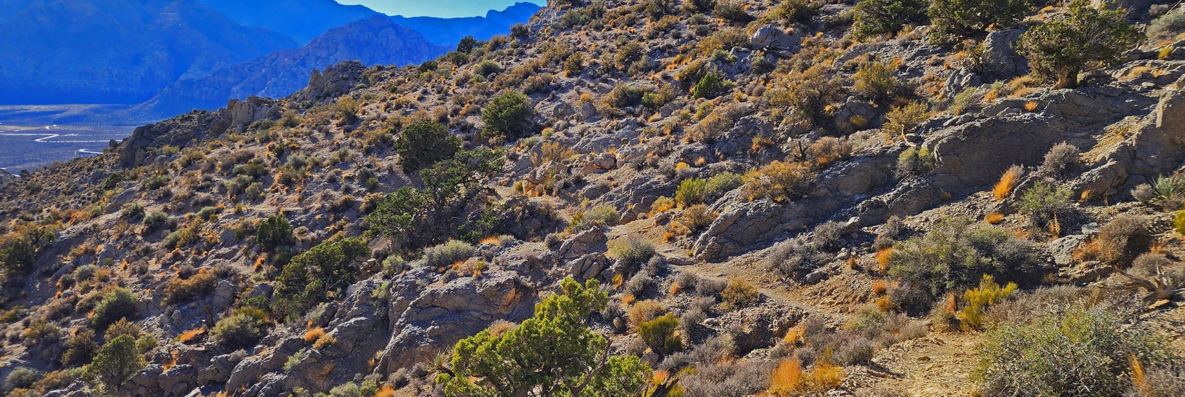 Returning Down Main Trail in Gully Below Saddle | Turtlehead Peak | Red Rock Canyon National Conservation Area, Nevada