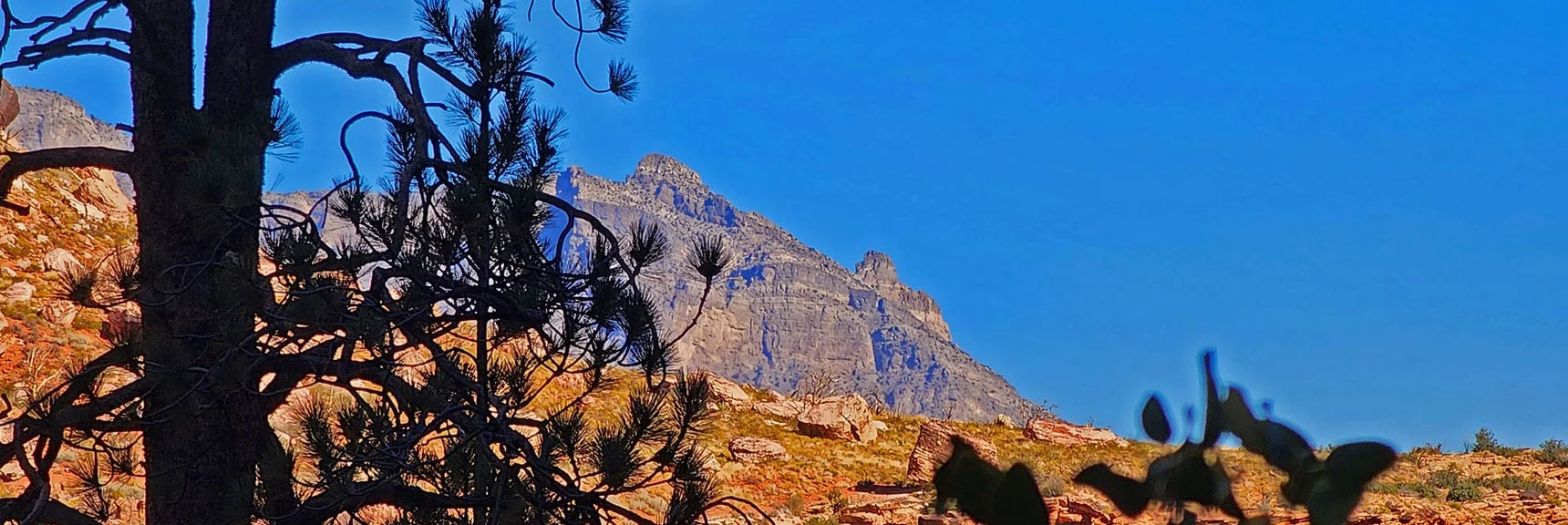 View Across Red Rock and Calico Canyons to Damsel Peak. | Rock Climber Observations | Pine Creek Canyon | Rainbow Mountain Wilderness, Nevada