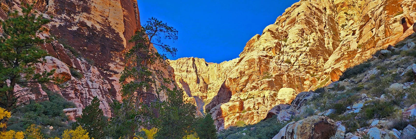 View up the Right (North) Branch of Pine Creek Canyon to the Upper Crest Ridgeline. | Rock Climber Observations | Pine Creek Canyon | Rainbow Mountain Wilderness, Nevada