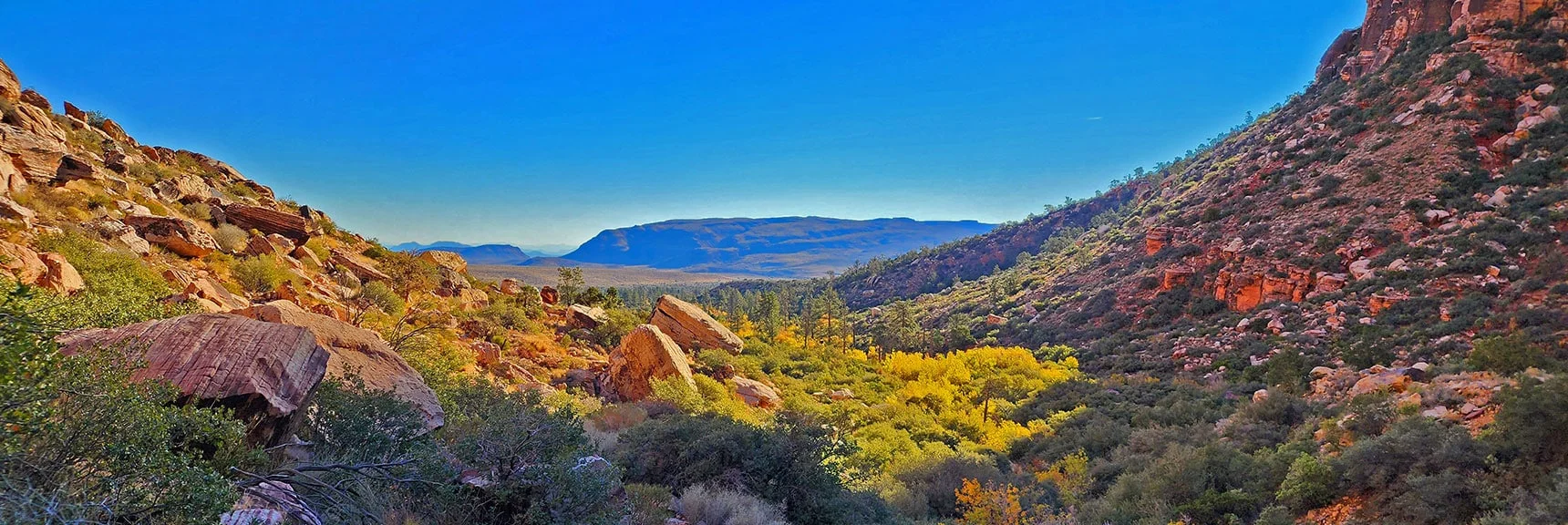 View Down Pine Creek Canyon to Blue Diamond Mountain. | Rock Climber Observations | Pine Creek Canyon | Rainbow Mountain Wilderness, Nevada